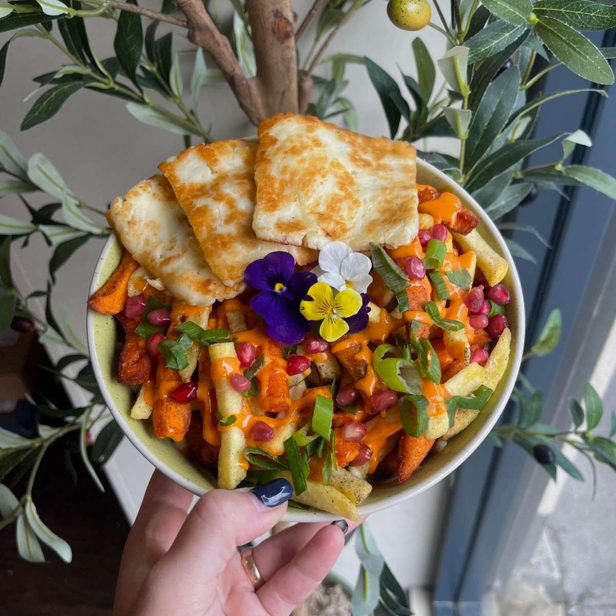 Olive Kitchen